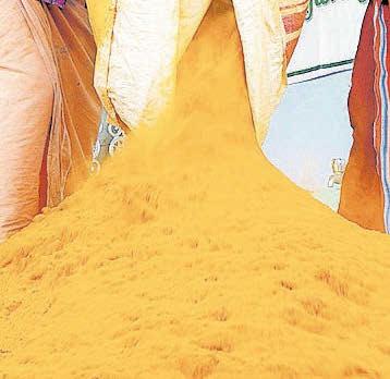 രോഗസൗഖ്യത്തിന് മഞ്ഞൾ വിഭവങ്ങൾ