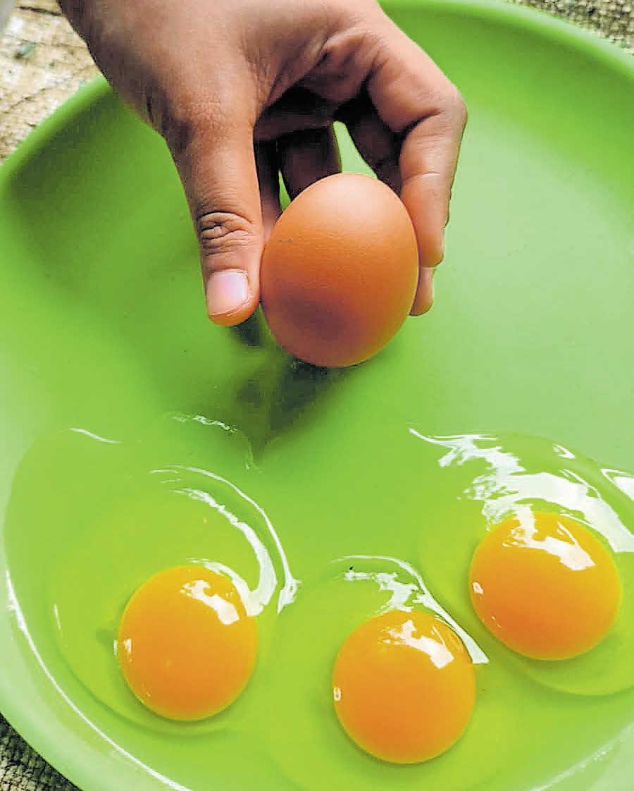 കാഴ്ച കൂട്ടും മുട്ട കാശും തരും