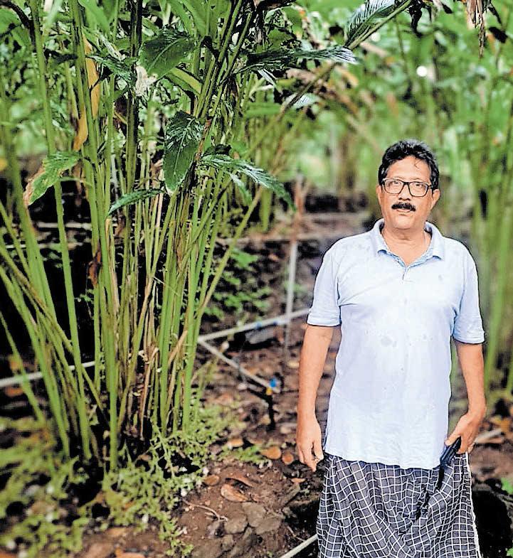 അടിവാരത്തിലുമാകാം അടിപൊളി ഏലം