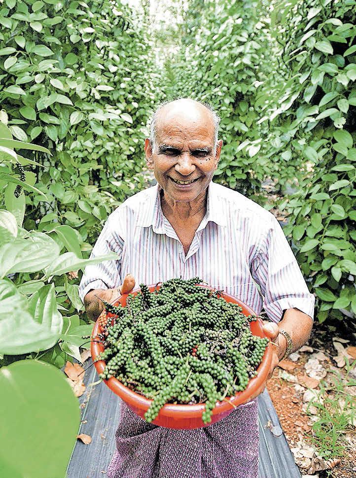 ഉയരങ്ങളിലേക്കൊരു ഉത്തമ മാതൃക