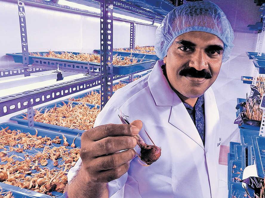 കുങ്കുമം വിളയുന്ന കേരളം
