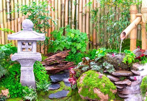 SERENITY OF SOPHISTICATED GARDENS