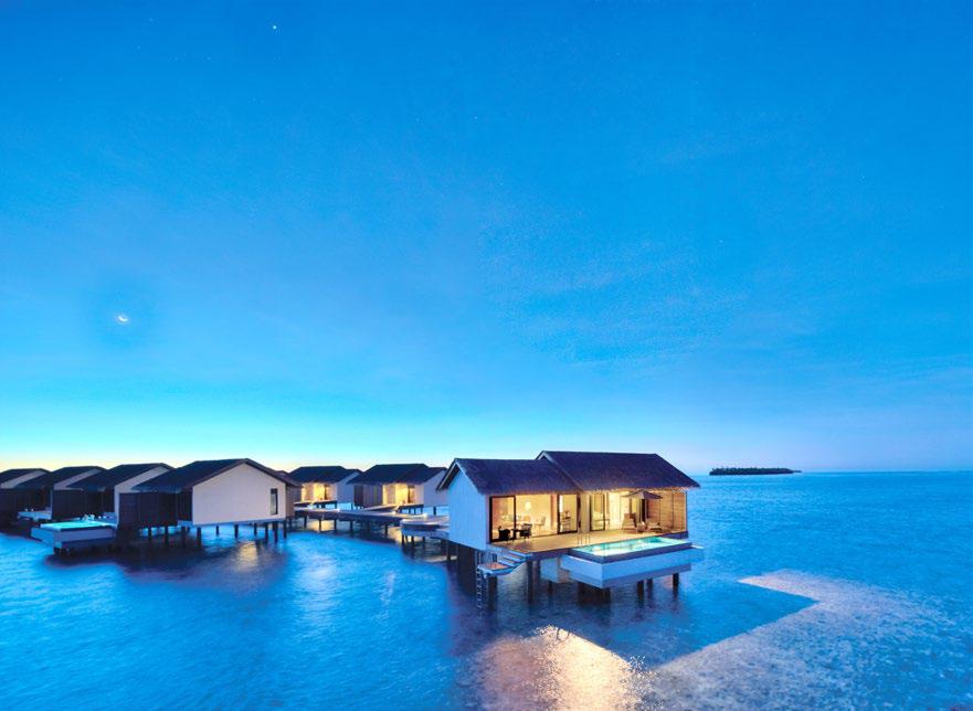 REEF, REST, REPEAT, RELAXA