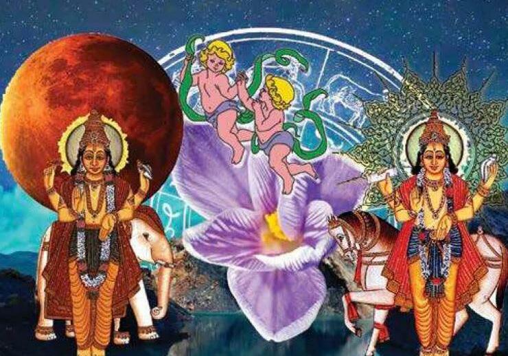 मिथुन लग्न के नवम भाव में स्थित - गुरु एवं शुक्र के फल