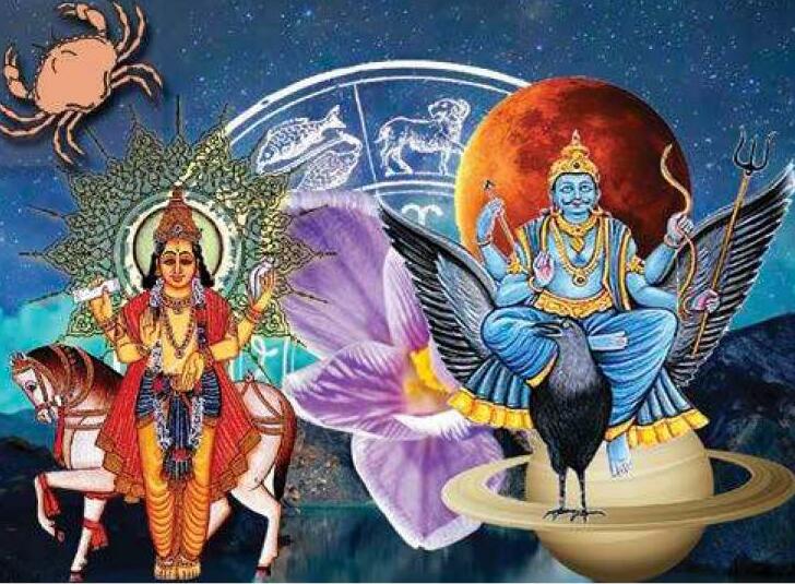 कर्क लग्न के नवम भाव में स्थित शुक्र एवं शनि के फल