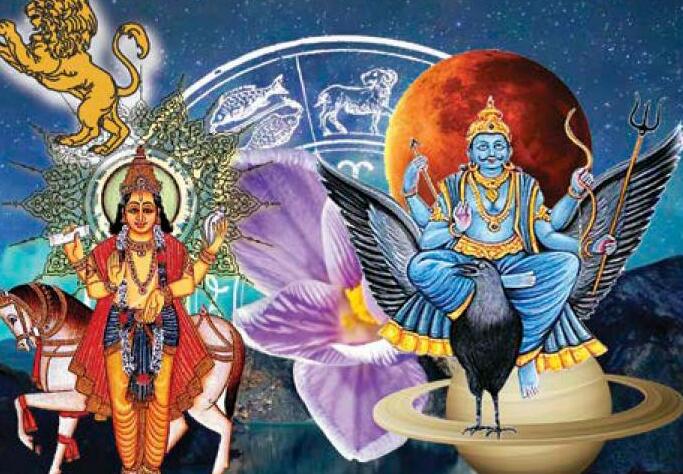 सिंह लग्न के नवम भाव में स्थित शुक्र एवं शनि के फल