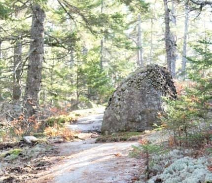 Lookout Rock Preserve ‘small gem' in Brooksville