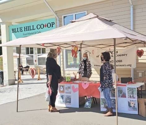 SPCA pet matchmakers visit Blue Hill for adoption event
