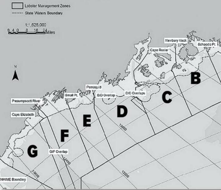 2021 lobster harvest the most valuable in the history of the fishery