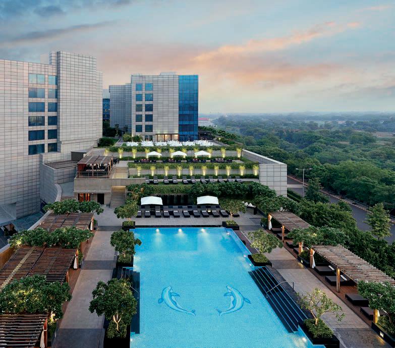 A CONSCIOUS RENAISSANCE