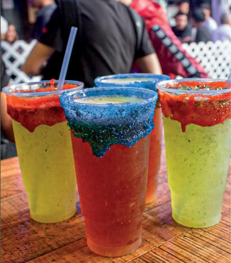 ¡TRAGOS, BAILE Y MICROBÚS!