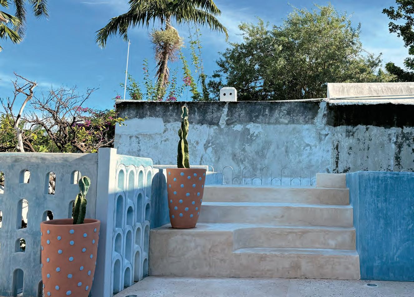 UN PARAISO DEL DISENO