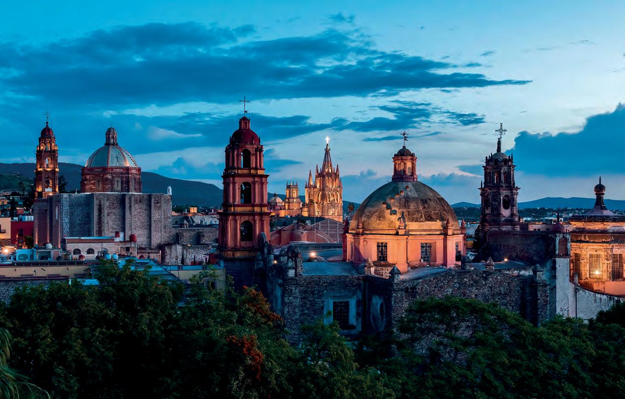 SAN MIGUEL VARIADITO