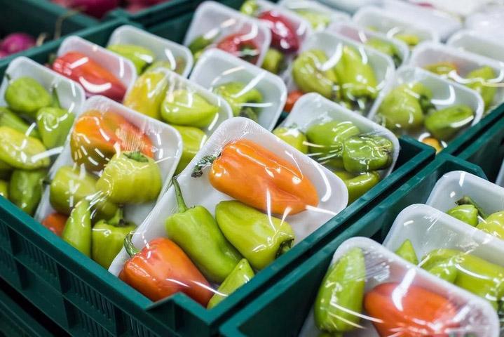 Active and Intelligent Bioplastic Packaging: Materials, Benefits, Applications, Challenges, and Future Prospects
