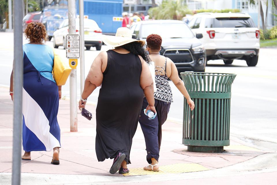Harvard gut discovery could change how we treat obesity and diabetes