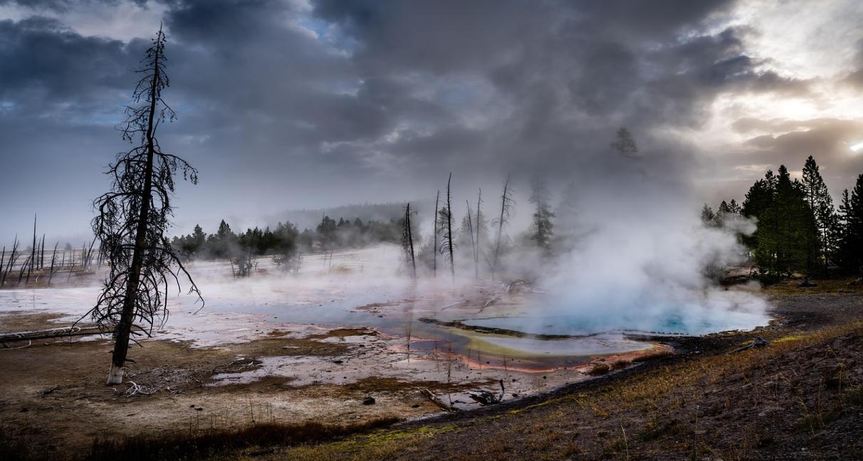 Extremophiles Microbes from Hot Springs - Identified as a Potential Source of Next Generation Biobased Sunscreens