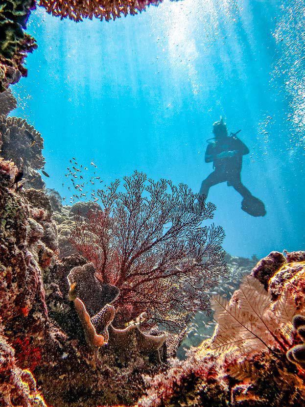 Reef RETREAT