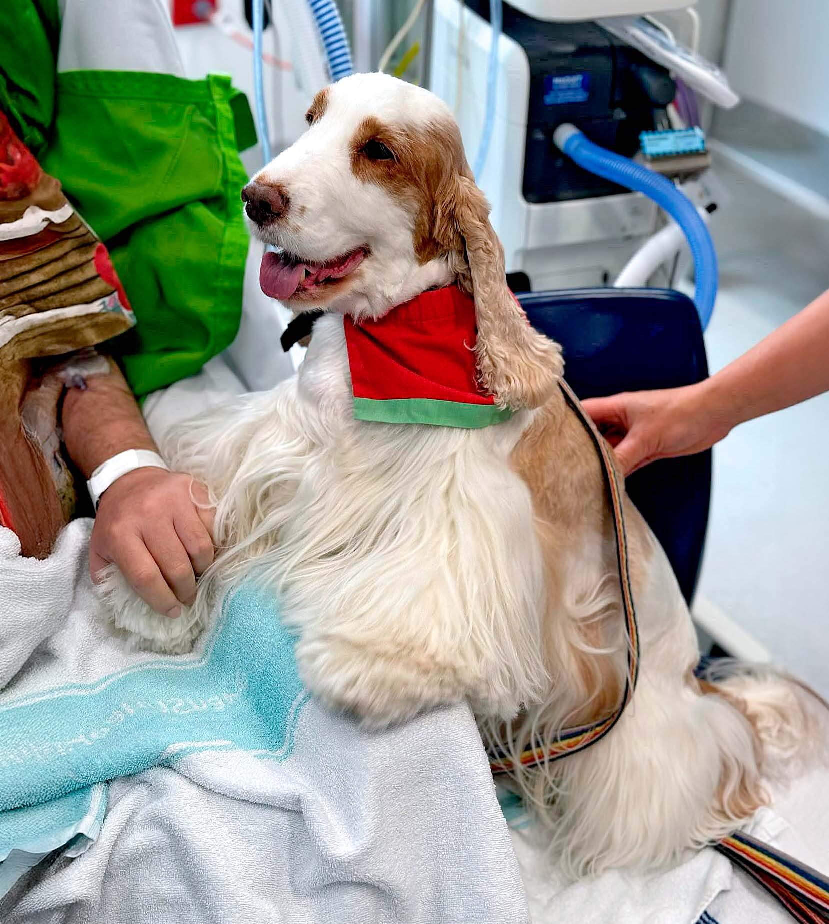 From the stage TO SURGERY!