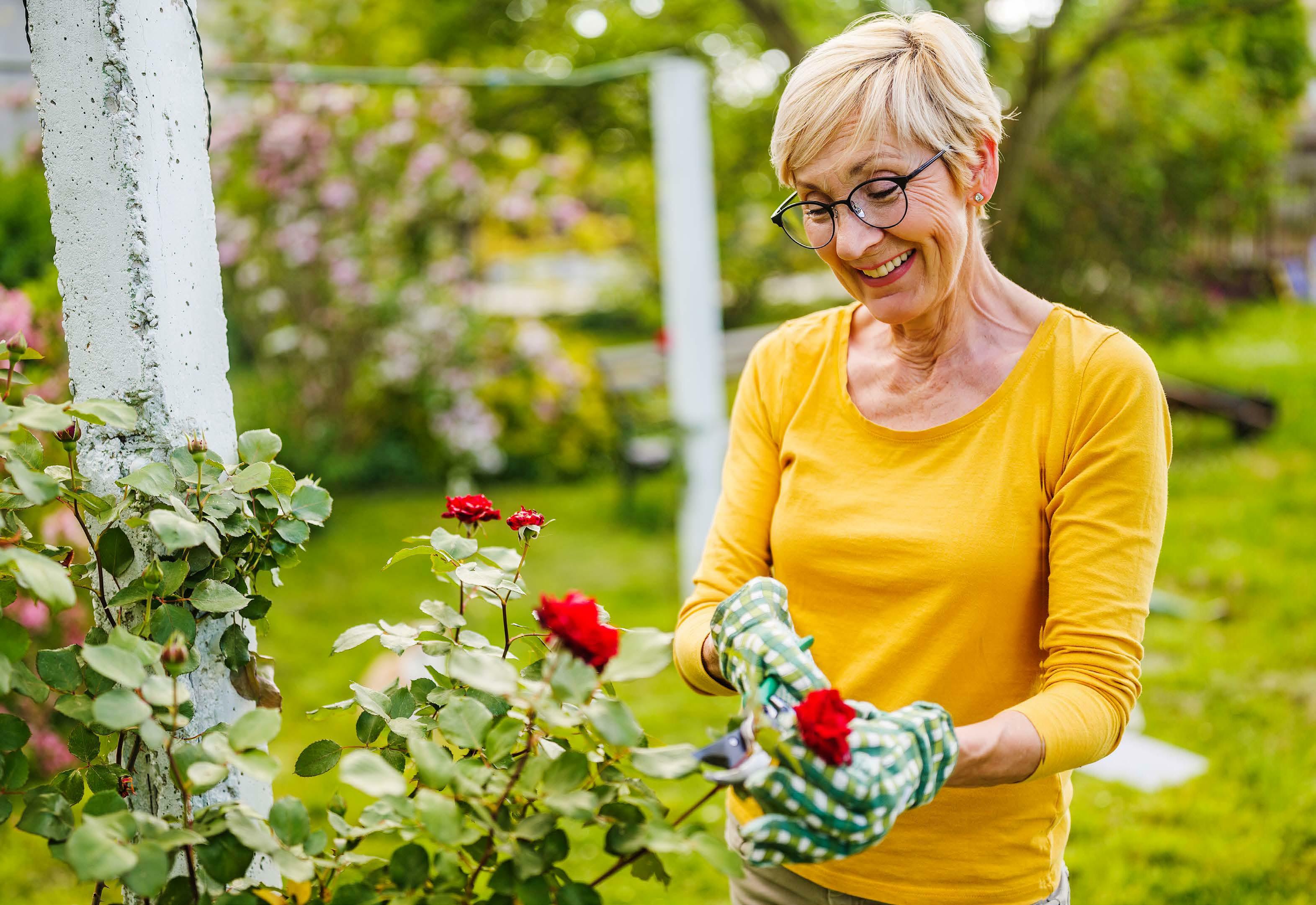 Garden GADGETS
