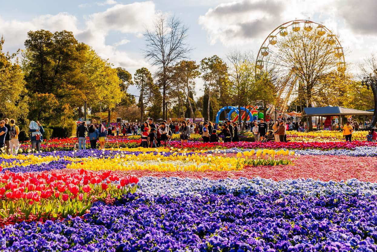 Spring TO LIFE