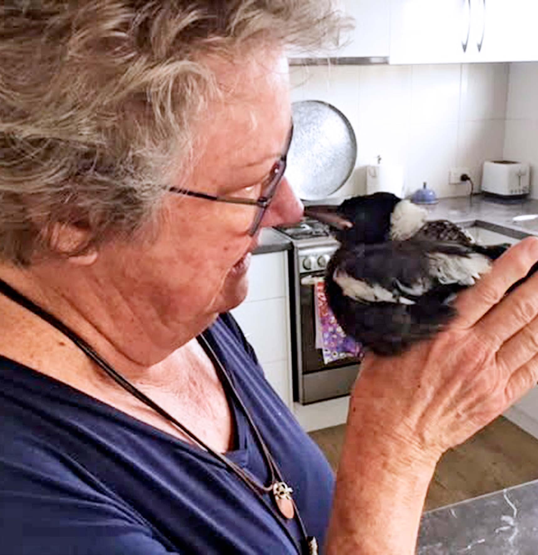 A magpie SAVED MY LIFE