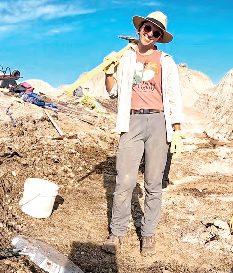 Digging for DINOSAURS