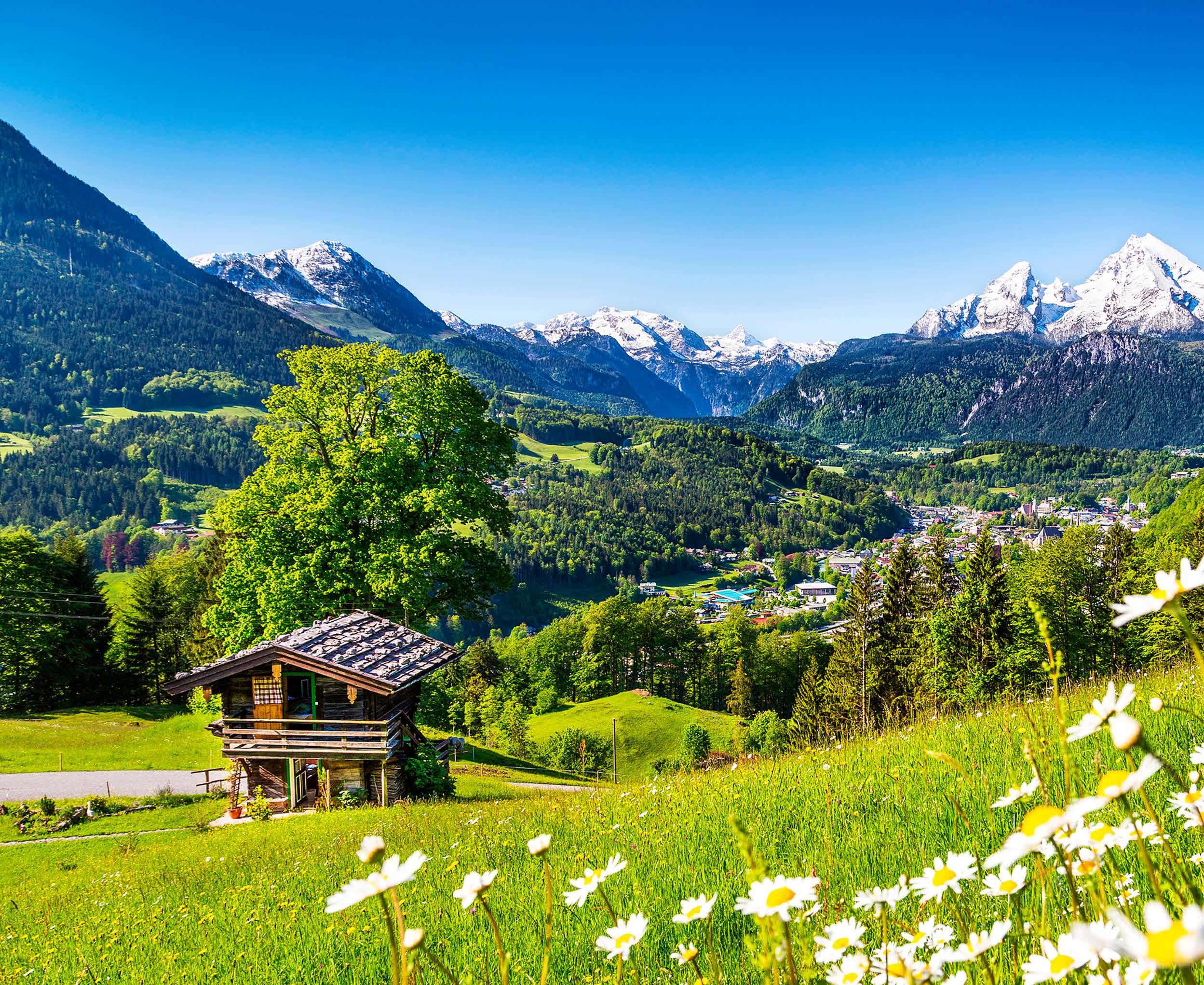 Swiss BREEZE