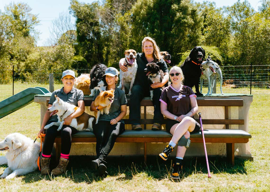 All aboard the DOGGY DAY CARE BUS!