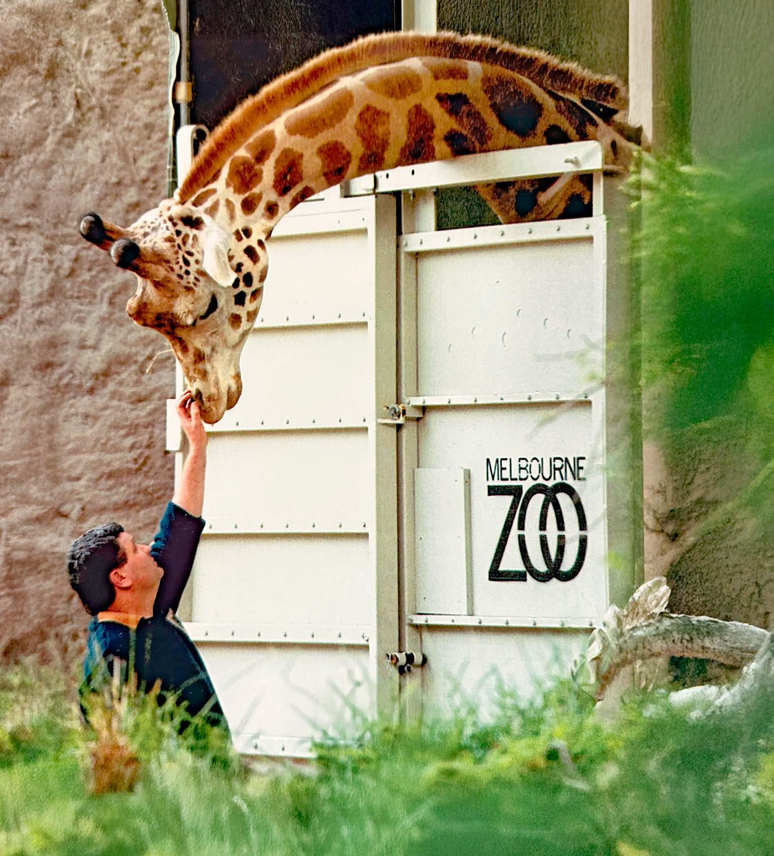 Secrets of a ZOOKEEPER