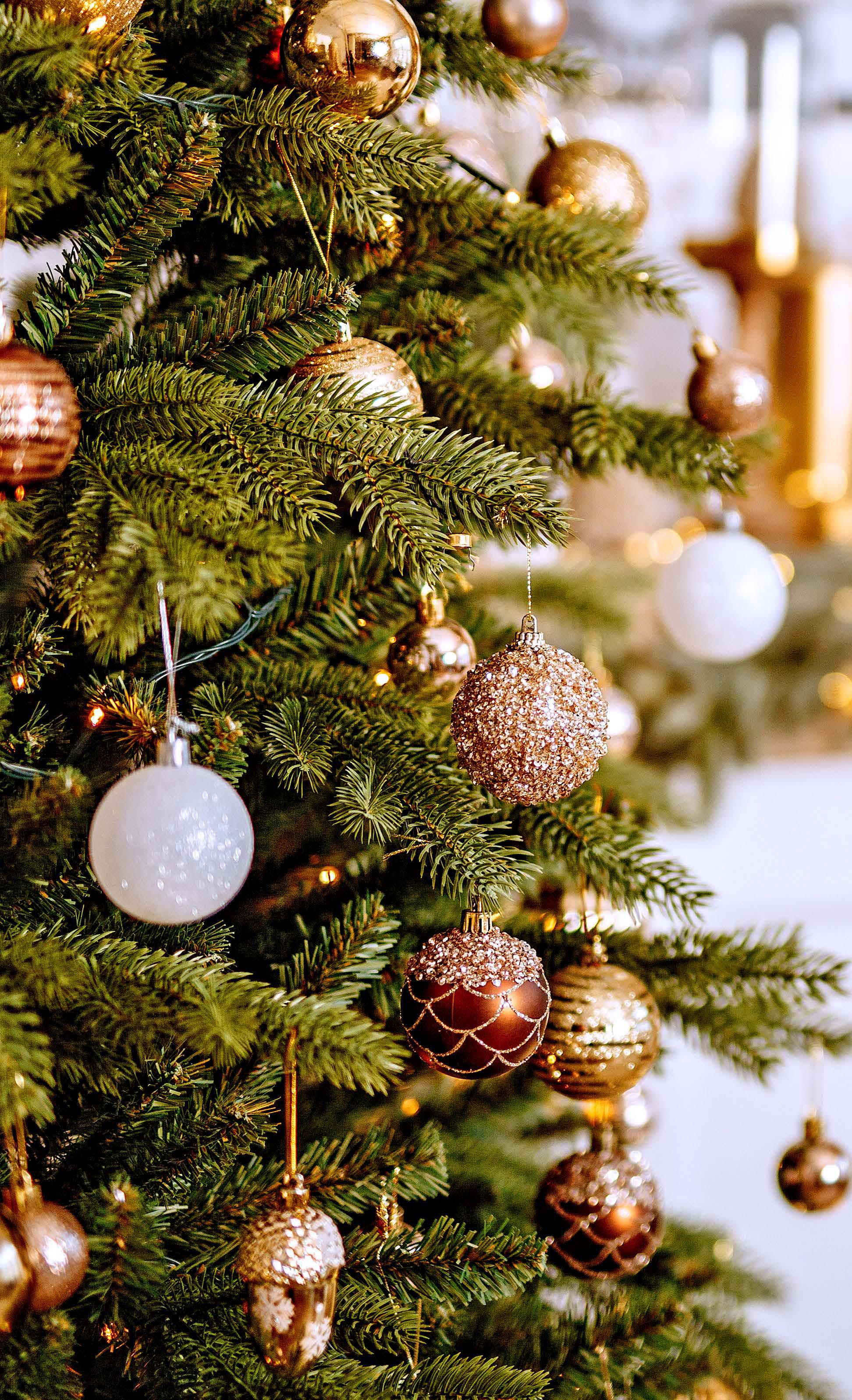 CHRISTMAS JOY