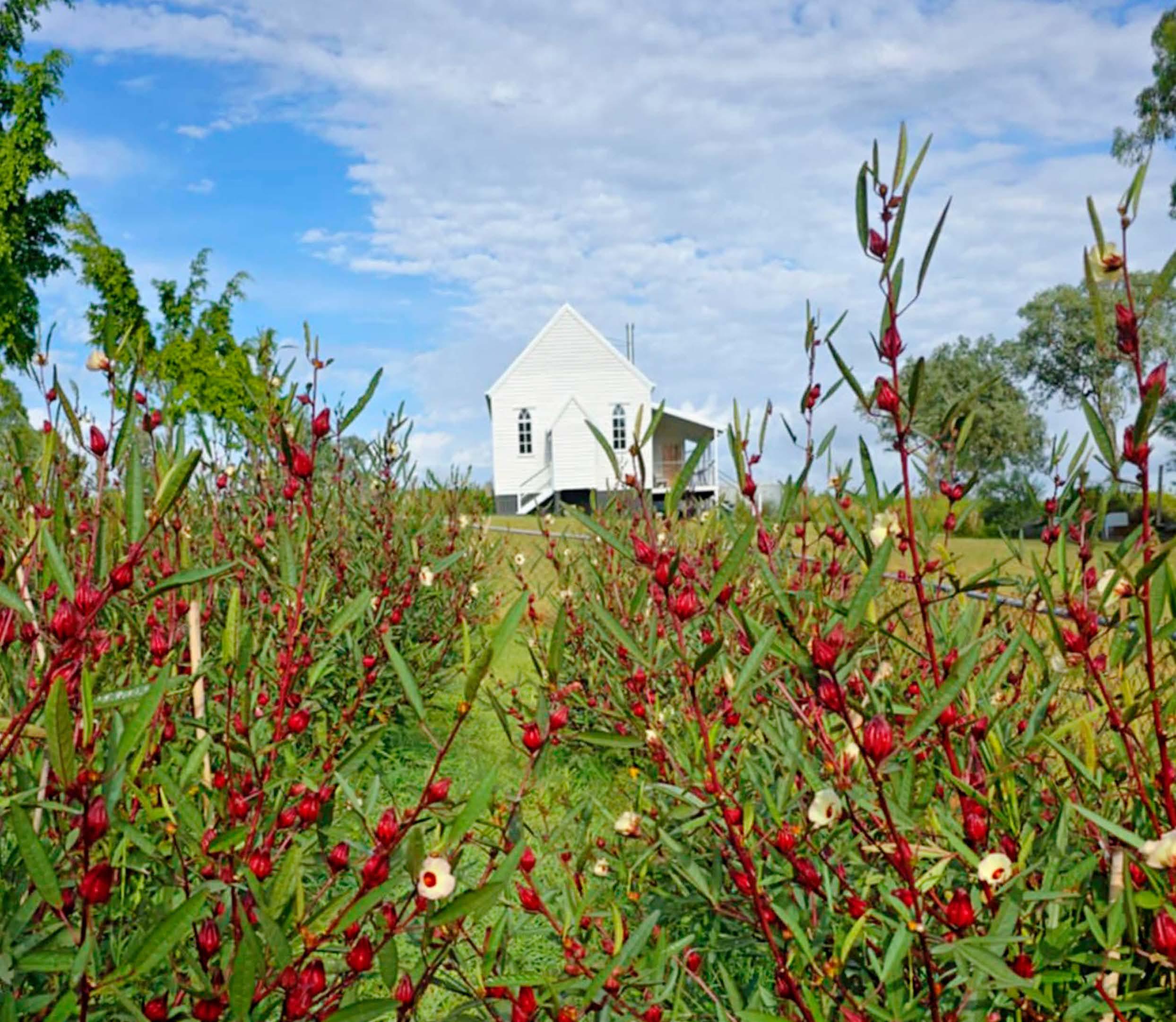 The chapel that JAM BUILT