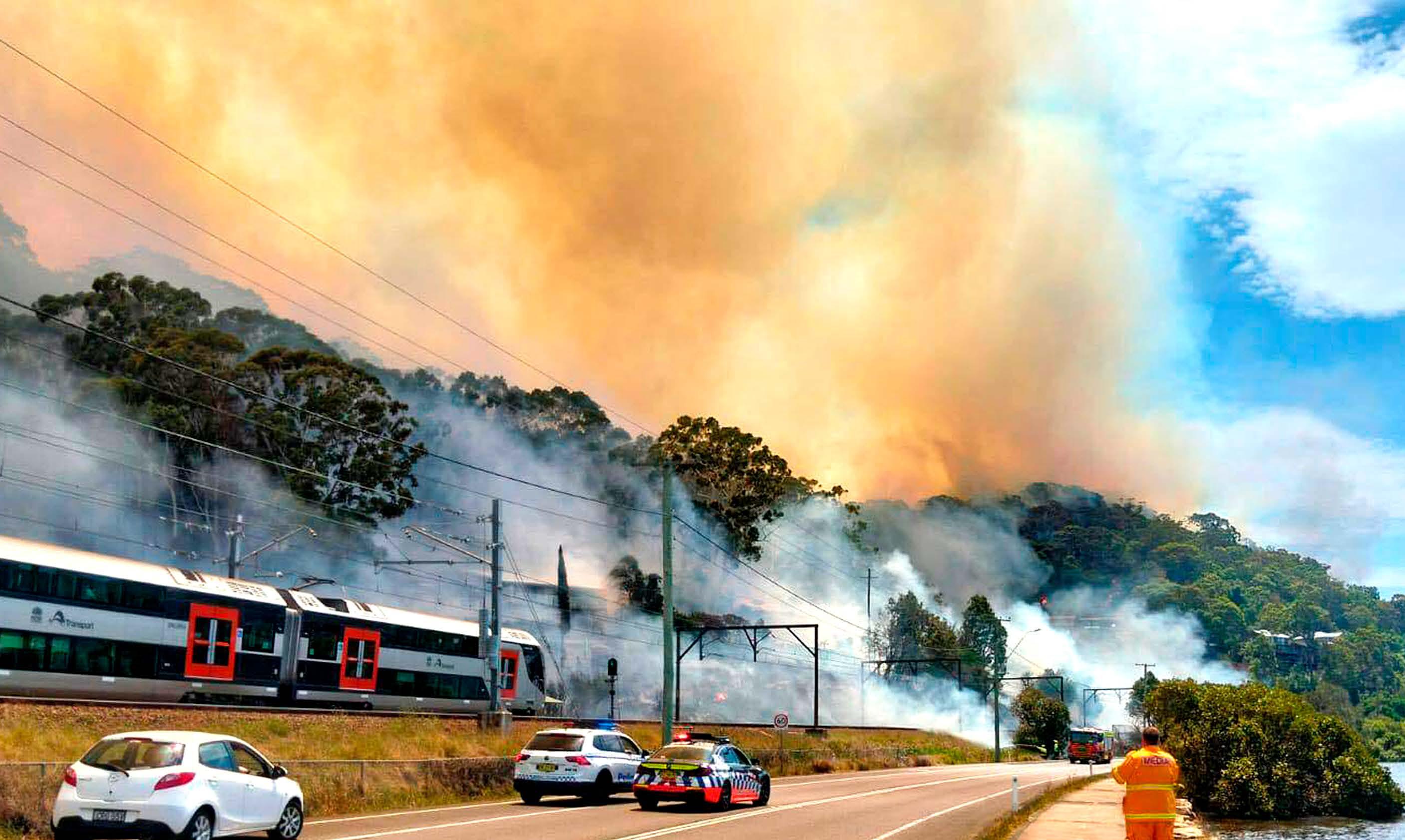 AUSTRALIA'S BUSHFIRE BURNED TO ASHES