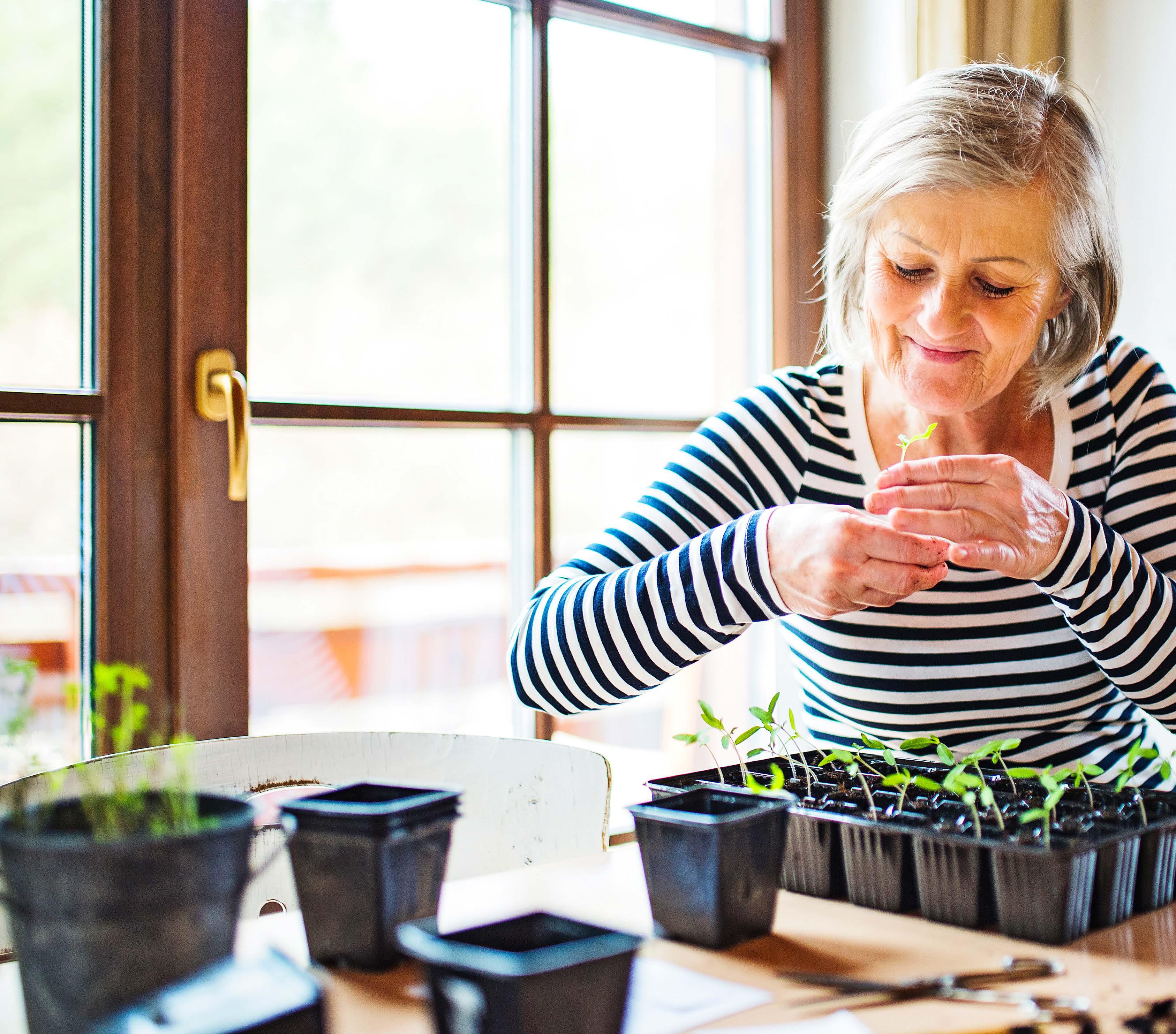 Kitchen GARDEN