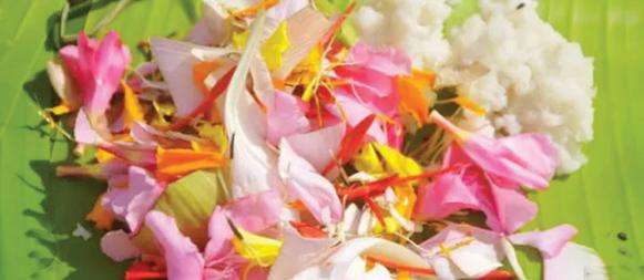 എന്താണ് കരിനാൾ, പ്രതിവിധിയെന്ത്?