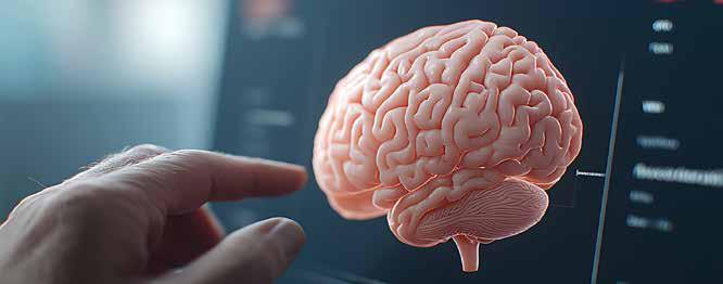 ROUNDWORM STUDY IDENTIFIES PROTEINS THAT COULD MEDIATE NEURON-GLIA COMMUNICATION AS BRAIN AGES