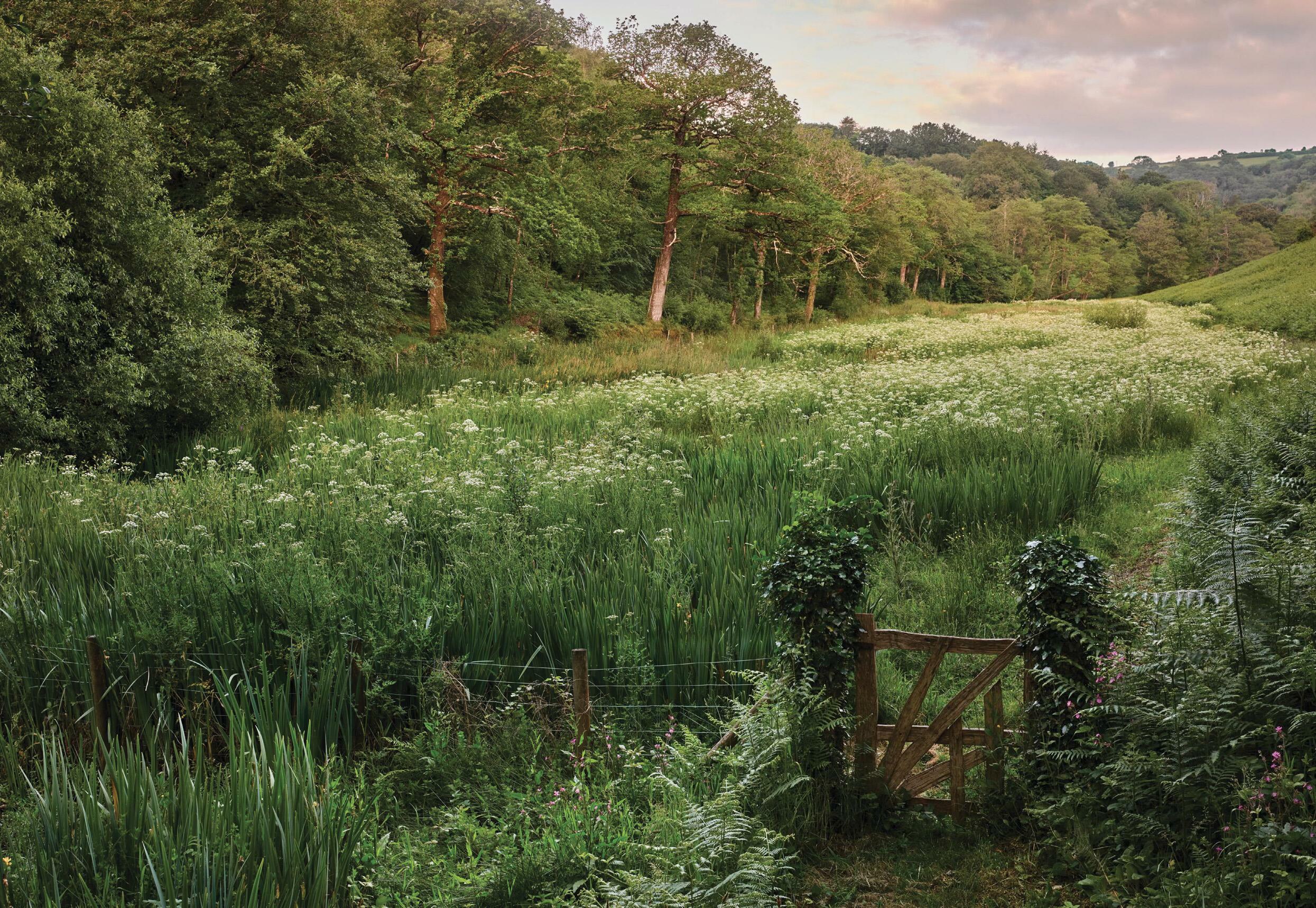 PASTORAL SYMPHONY