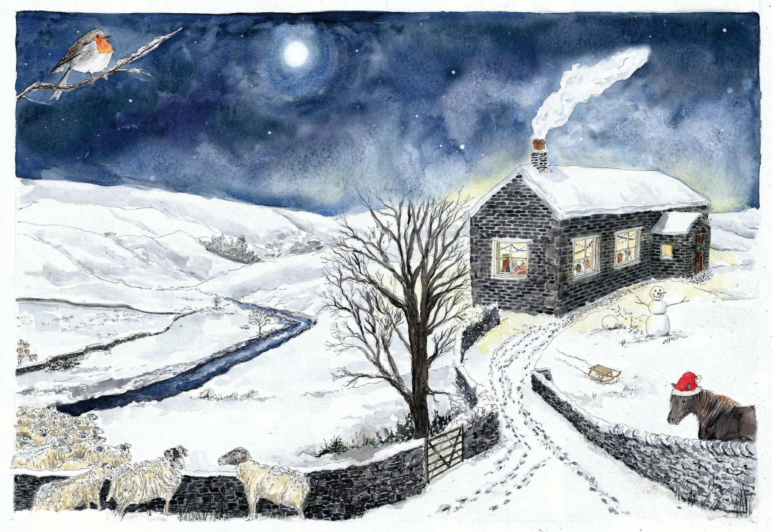 Wild, wild winter