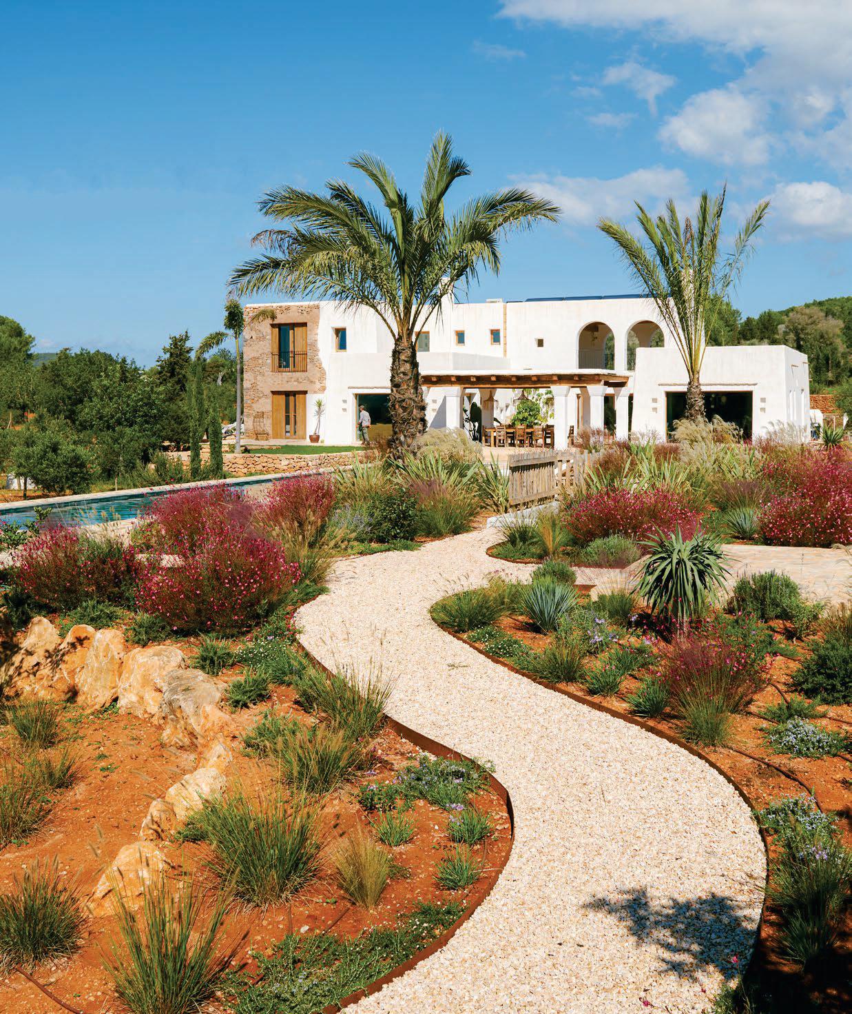 Island paradise