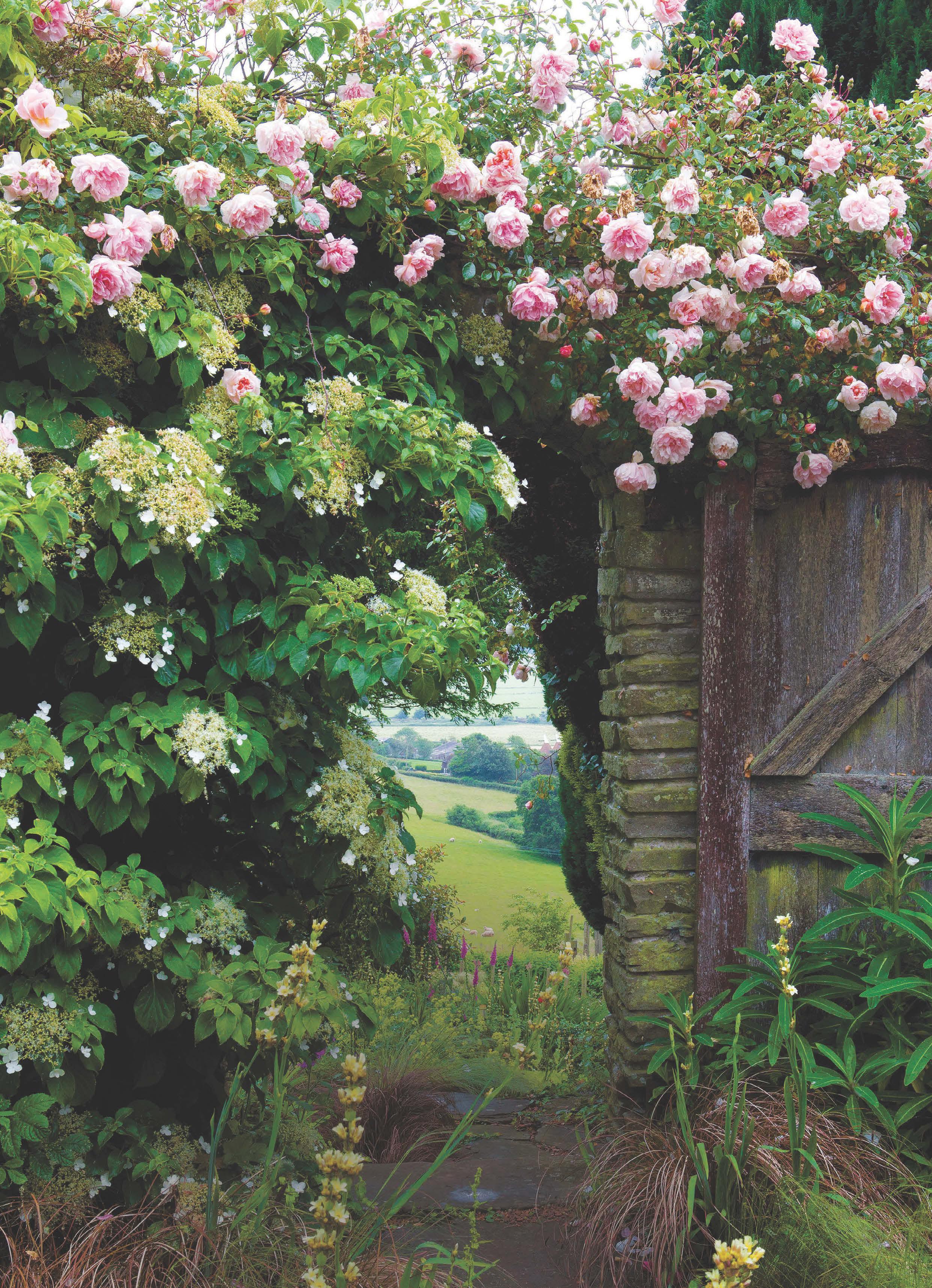 How to create a fragrant garden