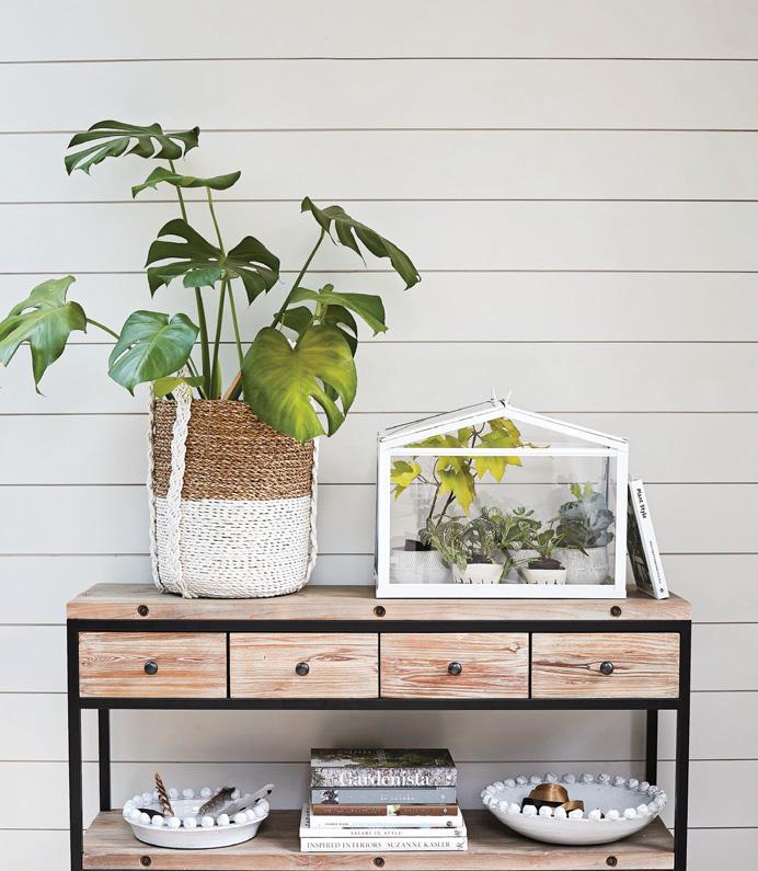 CARE FOR HOUSEPLANTS WHILE ON HOLIDAY