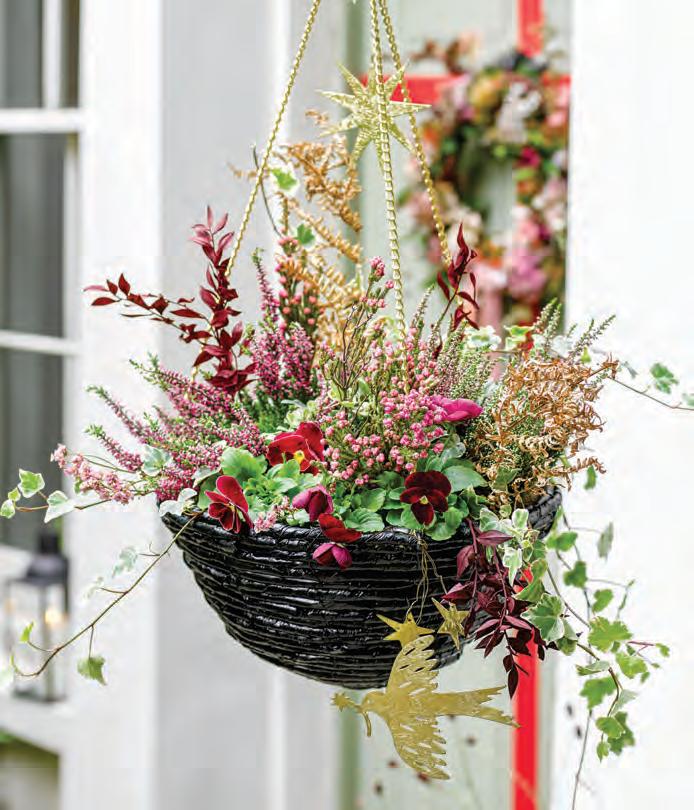 FESTIVE HANGING BASKET