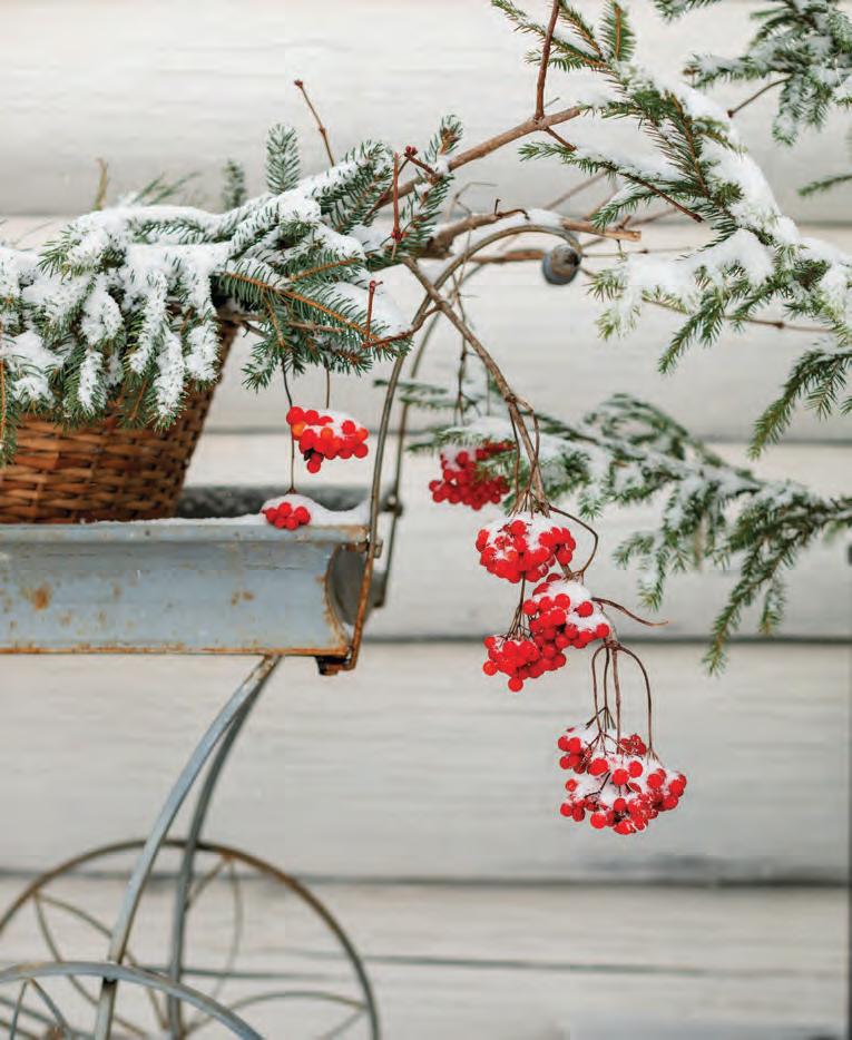 Garden must-haves