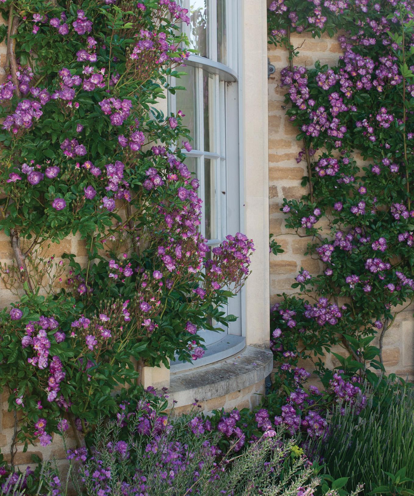 Small spaces, big thinking