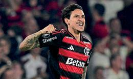 THE BEST OF BRAZIL