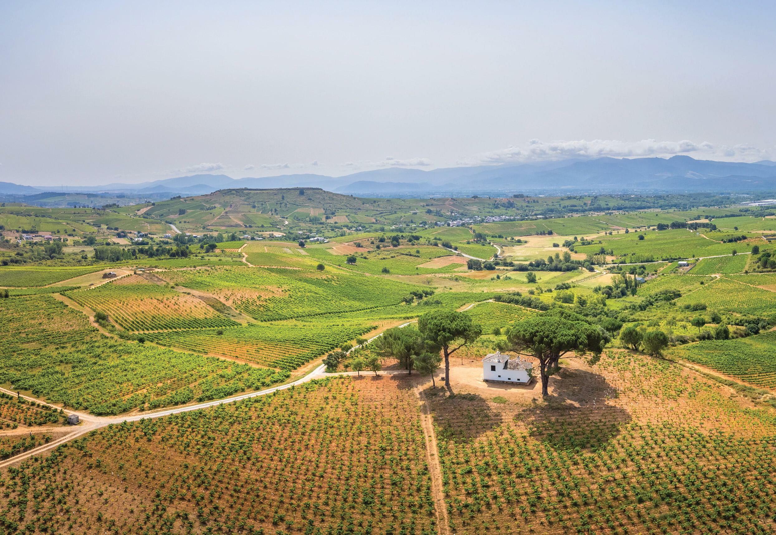 Bierzo reborn