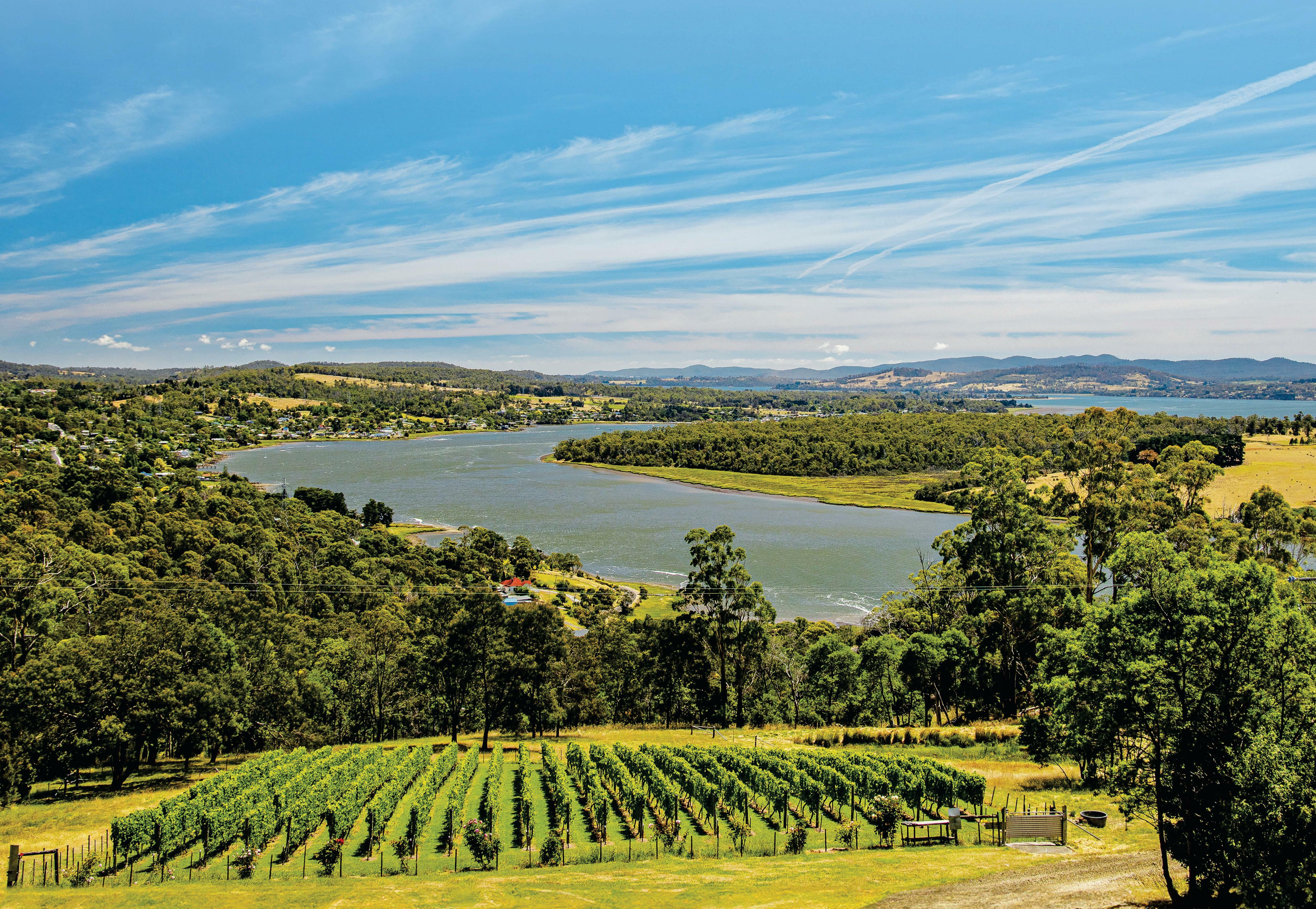 A taste of THE Tamar
