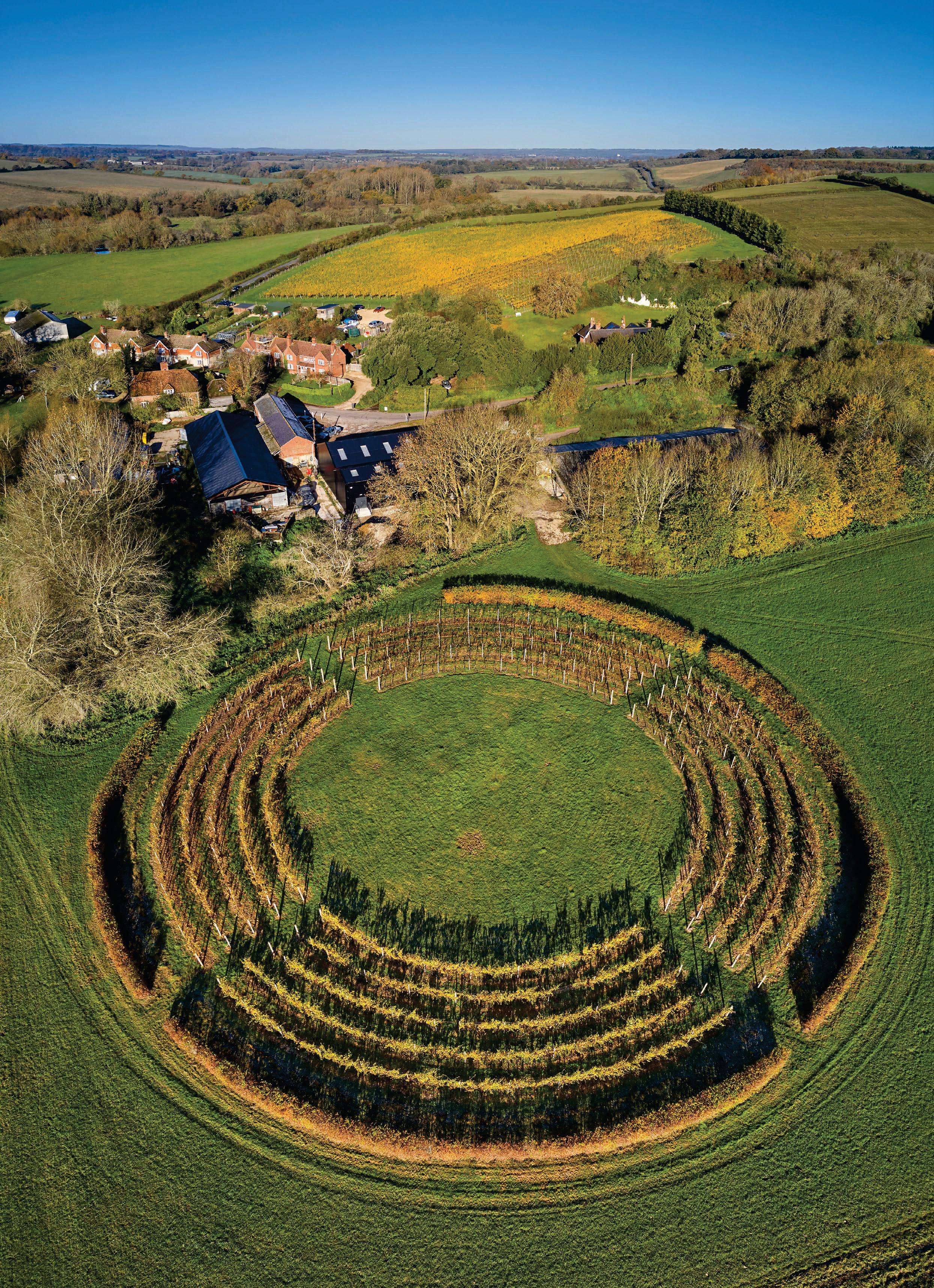 HAMPSHIRE