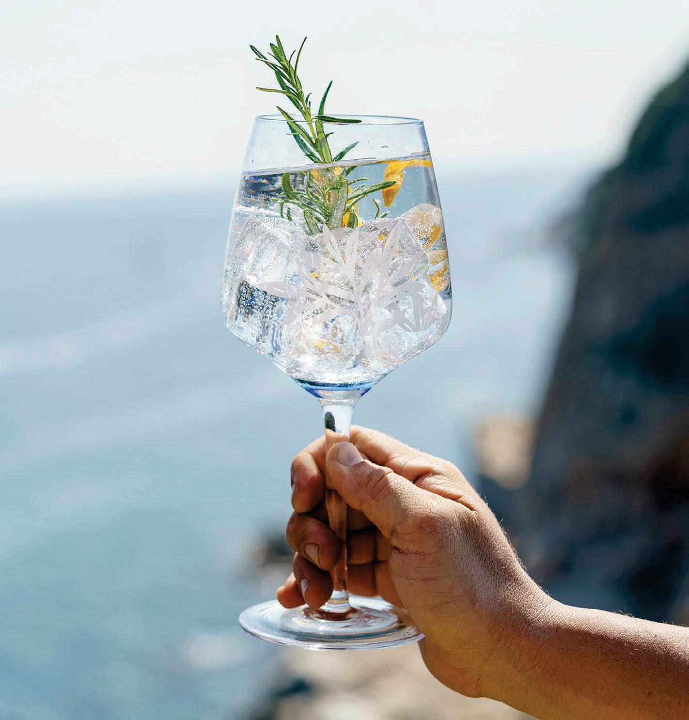 Ginebra Gin with Spanish style