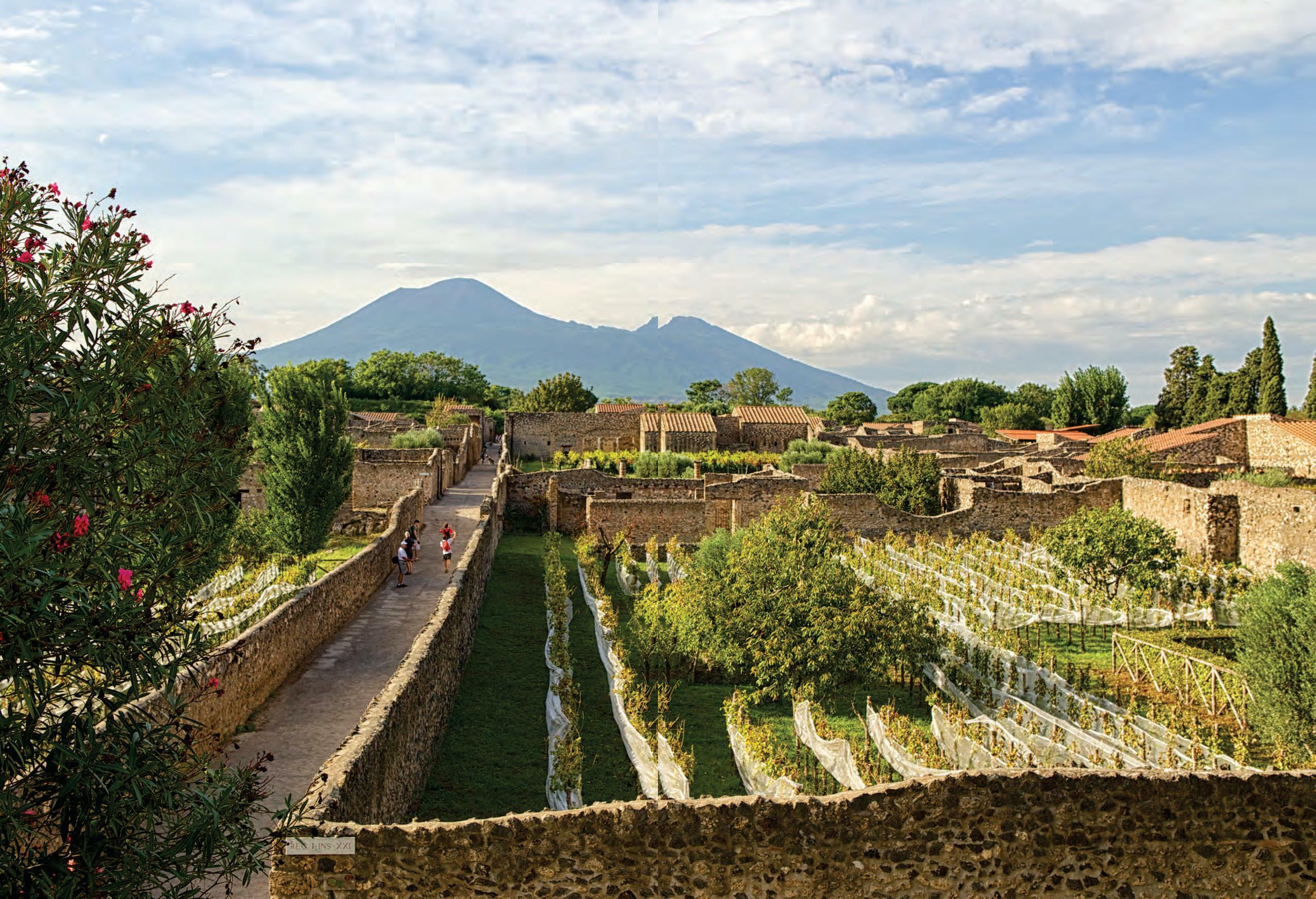 ANOTHER CAMPANIA
