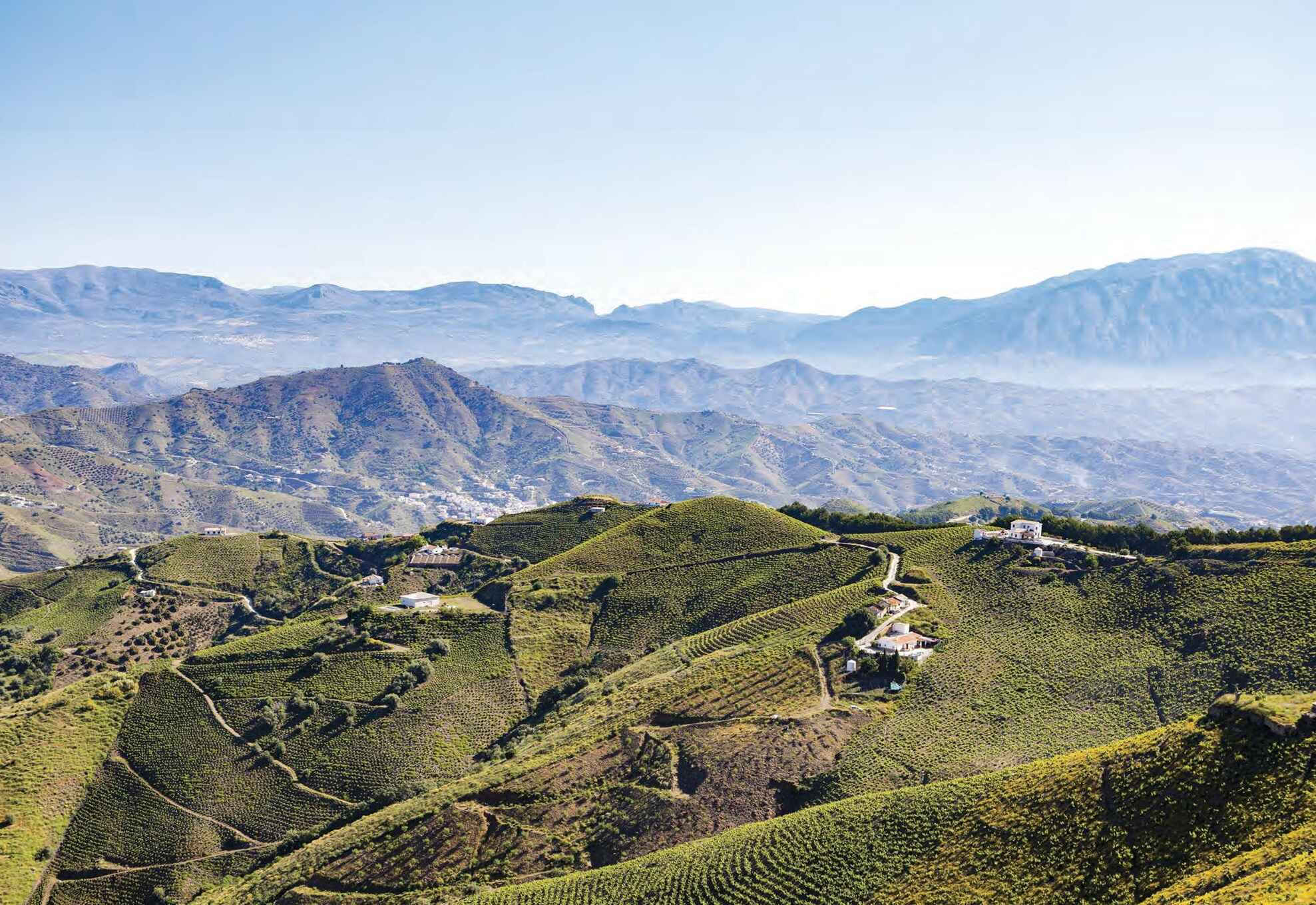 Málaga The rediscovery